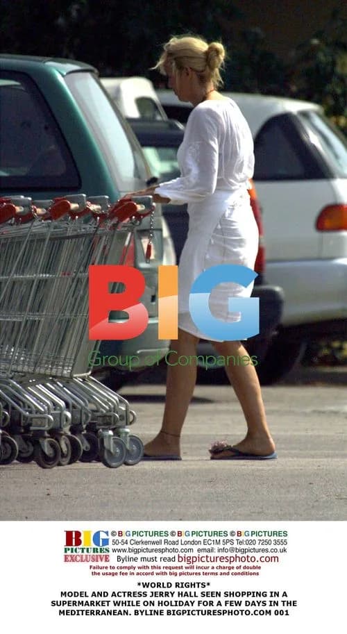 Jerry Hall Shopping in Supermarket During Holiday