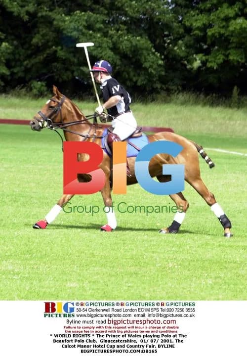 The Prince of Wales playing Polo