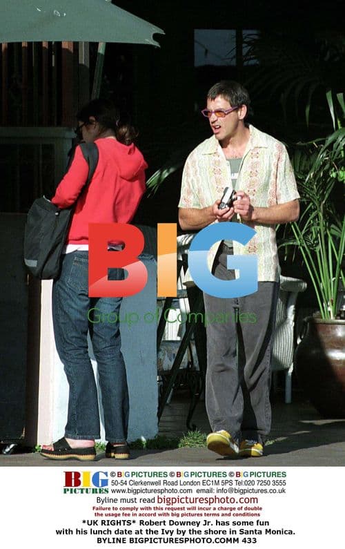 Robert Downey Jr. enjoys lunch with girlfriend