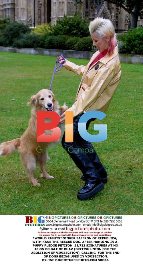 Singer Saffron of Republica with Kane the Rescue Dog