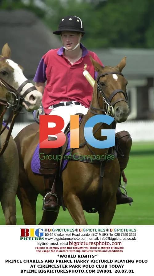 Prince Charles and Prince Harry Playing Polo