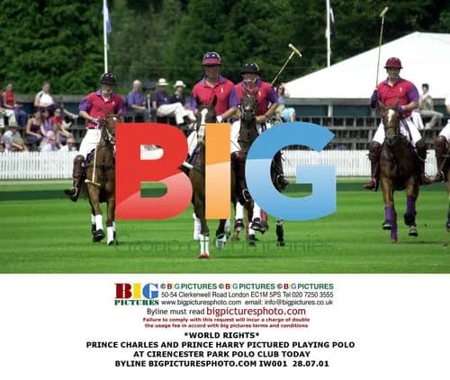 Prince Charles and Prince Harry Play Polo