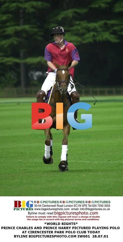 Prince Charles and Prince Harry Play Polo