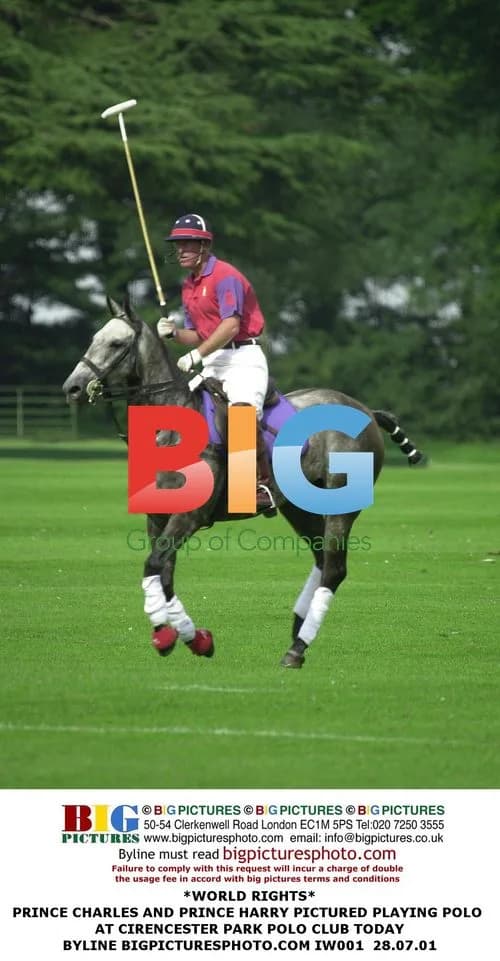 Prince Charles and Prince Harry Playing Polo