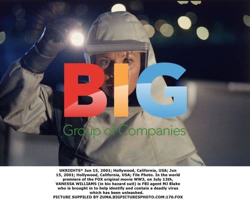 VANESSA WILLIAMS in WW3 Premiere