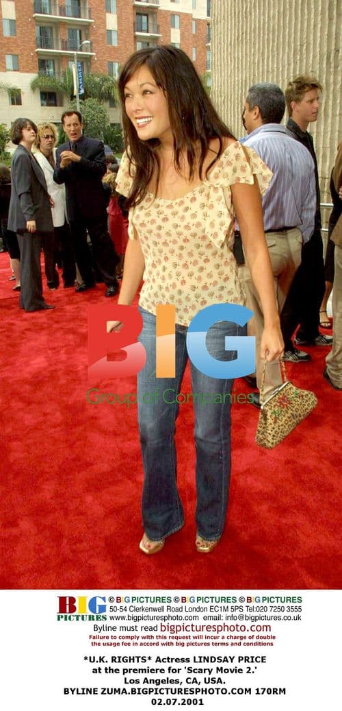LINDSAY PRICE at 'Scary Movie 2' premiere