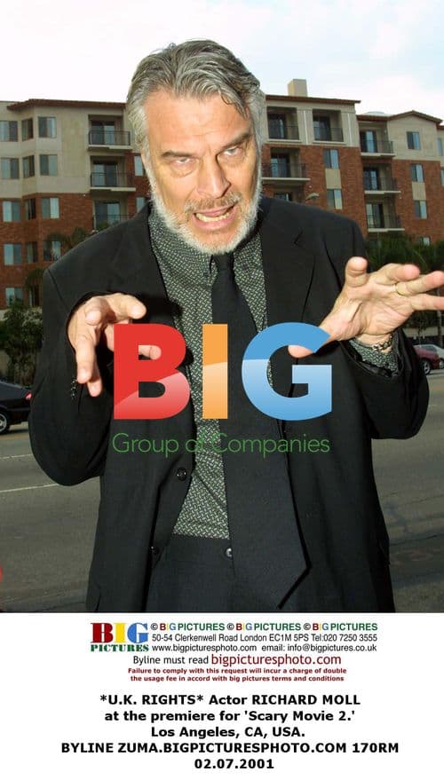 Richard Moll at 'Scary Movie 2' Premiere