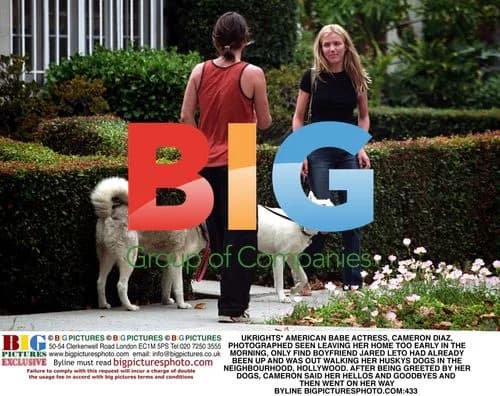 Cameron Diaz Greeted by Boyfriend's Dogs
