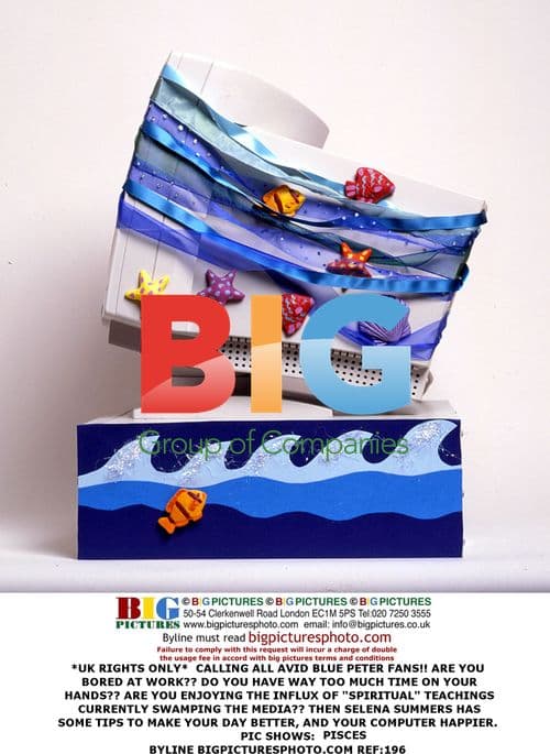 Selena Summers Shares Computer Tips