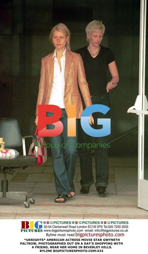 Gwyneth Paltrow Shops with Friend