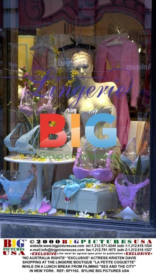 Kristen Davis Shopping at Lingerie Boutique