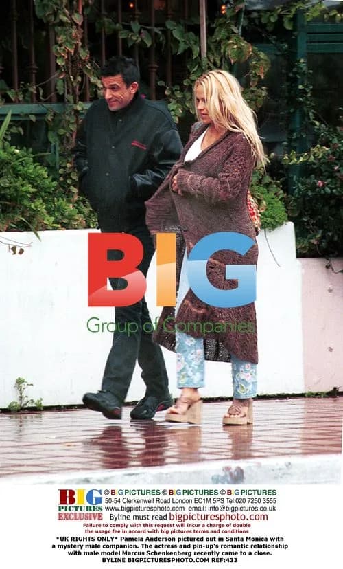 Pamela Anderson with mystery male companion