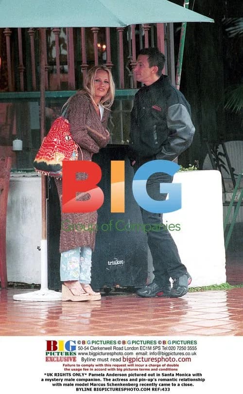 Pamela Anderson out in Santa Monica