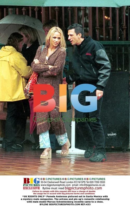 Pamela Anderson out with mystery companion