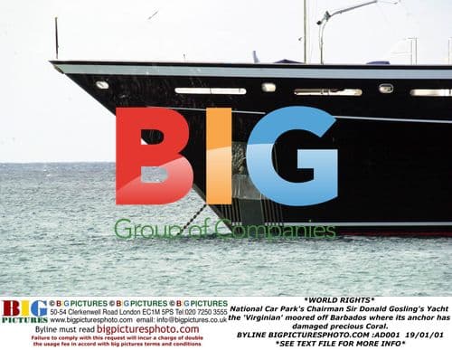 Sir Donald Gosling's 'Virginian' Yacht Damages Coral in Barbados