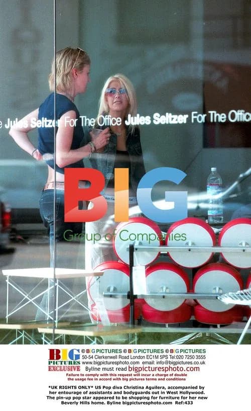 Christina Aguilera's Furniture Shopping