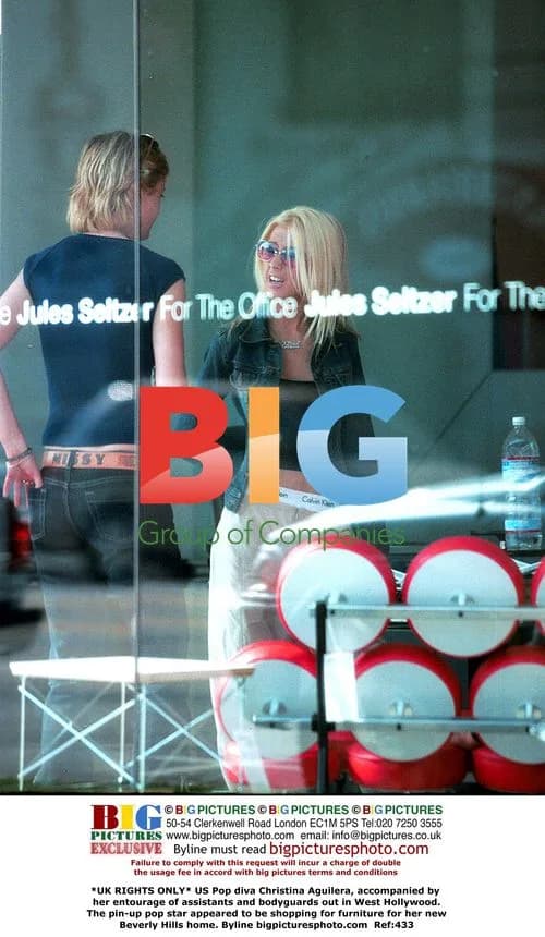 Christina Aguilera Furniture Shopping