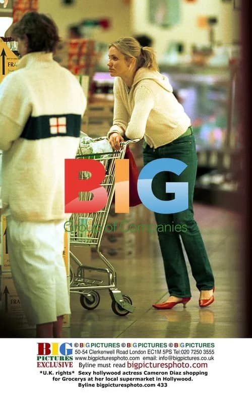 Cameron Diaz Grocery Shopping in Hollywood