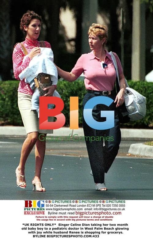 Celine Dion takes baby to doctor in Palm Beach