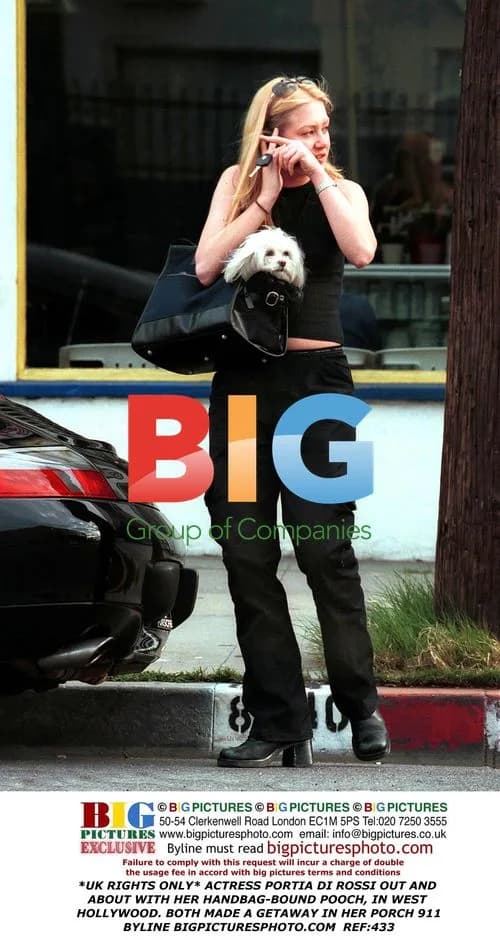 Portia Di Rossi out with pet dog in West Hollywood