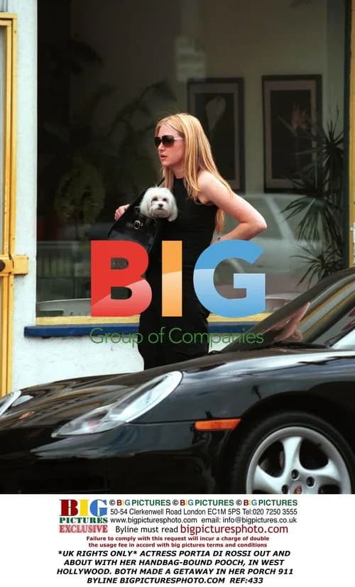 Portia Di Rossi with Pooch in W. Hollywood
