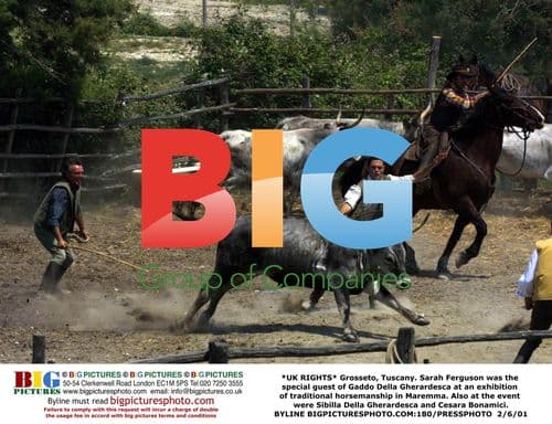 Sarah Ferguson at Horsemanship Exhibition