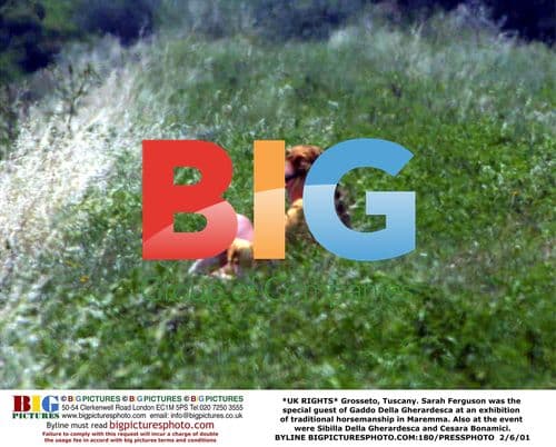 Sarah Ferguson at Tuscan Horsemanship Event