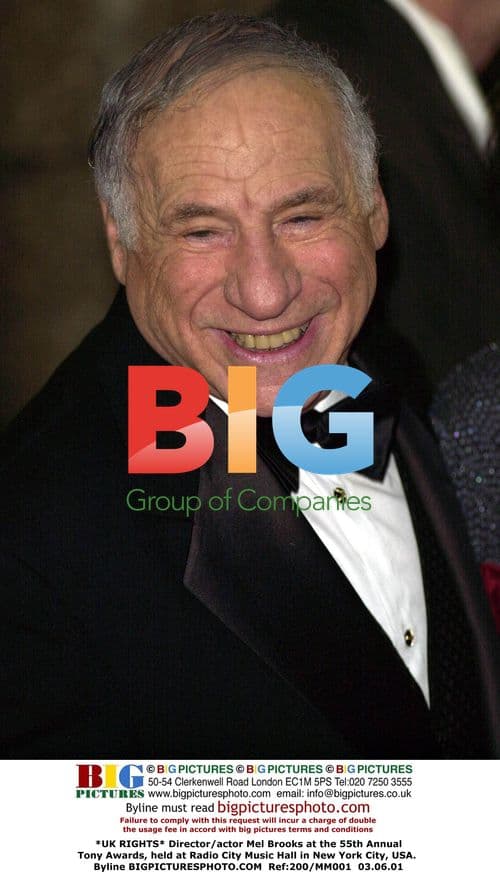 Mel Brooks at 55th Annual Tony Awards