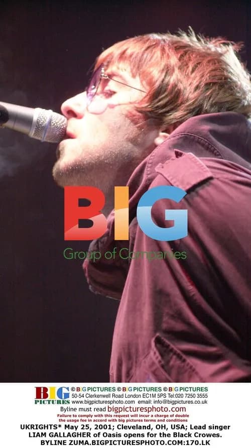 Oasis Singer Liam Gallagher Opens for Black Crowes