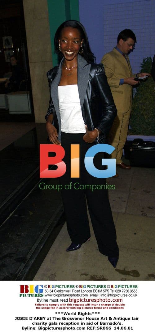 JOSIE D'ARBY at Barnado's charity gala