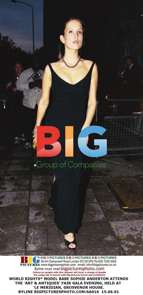 Sophie Anderton Attends Art & Antiques Fair Gala
