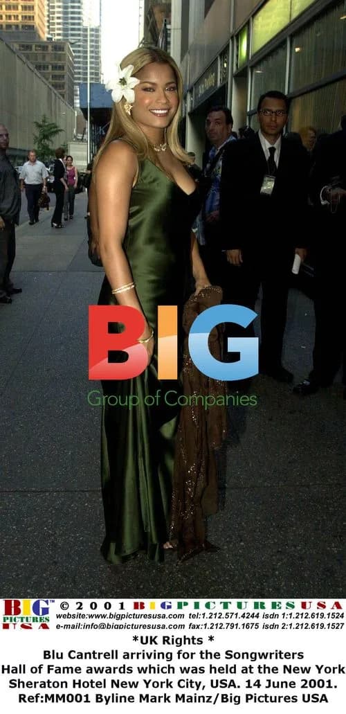 Blu Cantrell at Songwriters Hall of Fame Awards