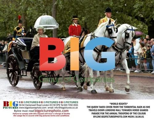 The Queen takes cover from rain at Trooping the Colour