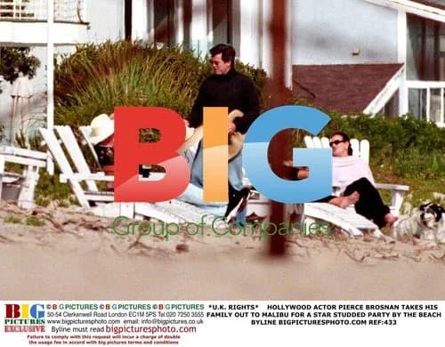 Pierce Brosnan and Family Attend Malibu Beach Party