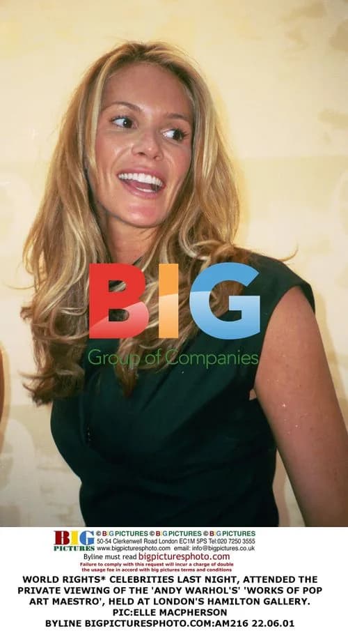 Elle Macpherson at Andy Warhol Pop Art Show