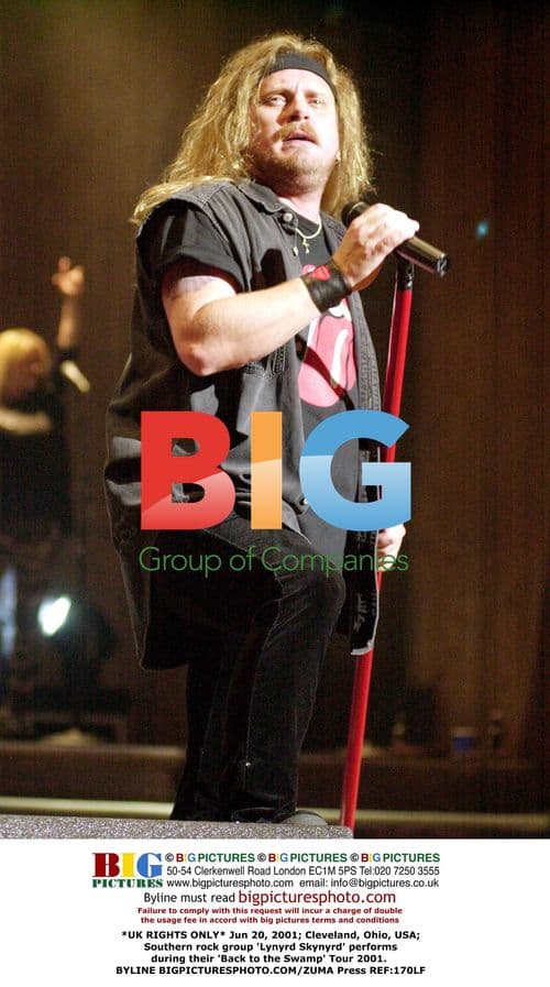 Lynyrd Skynyrd Performs On 'Back to the Swamp' Tour