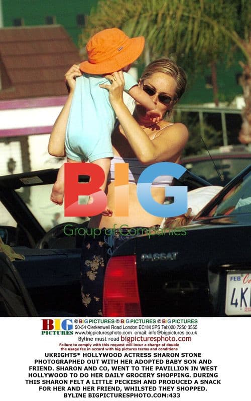 Sharon Stone Out Shopping with Baby