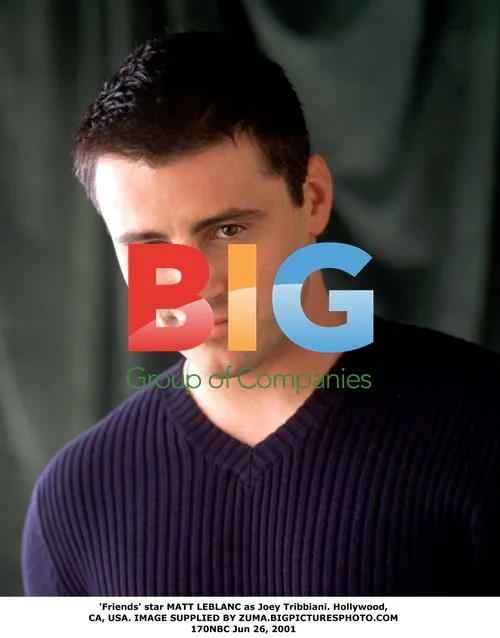 Matt LeBlanc as Joey Tribbiani