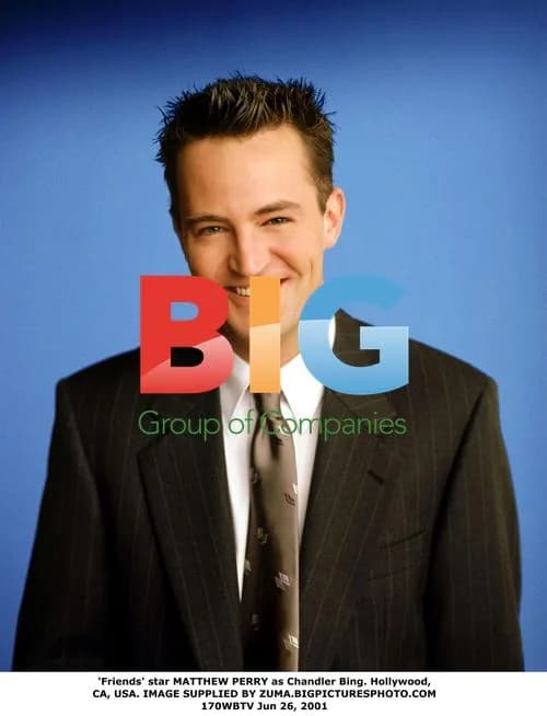Matthew Perry as Chandler Bing