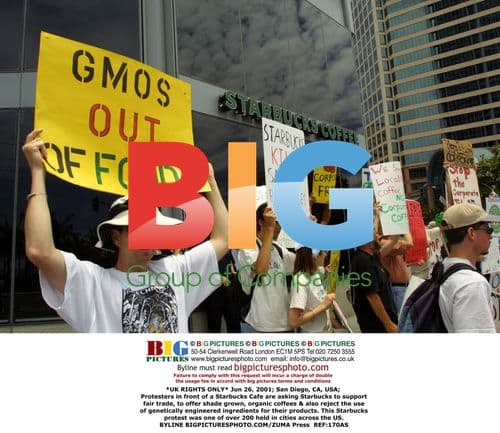 Starbucks Cafe Protest in San Diego