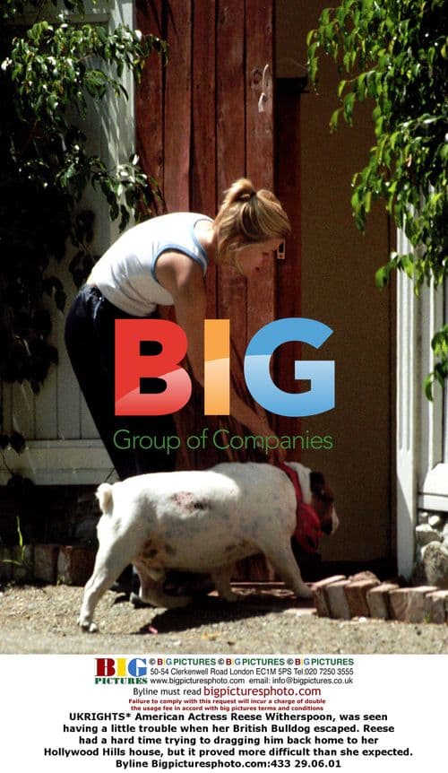 Reese Witherspoon Struggles with Bulldog