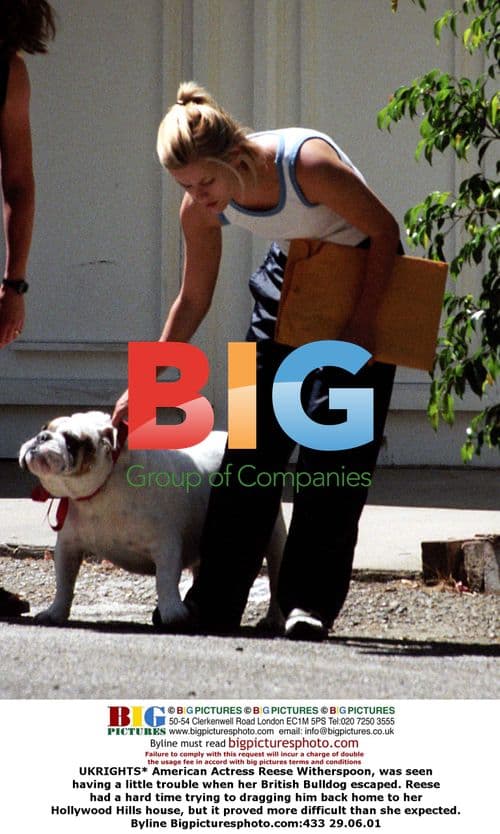 Reese Witherspoon Struggles with Bulldog