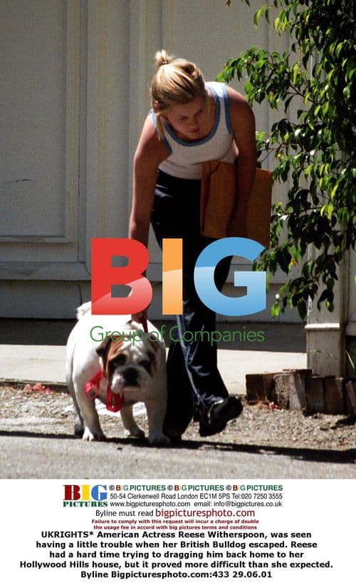 Reese Witherspoon has trouble with her bulldog