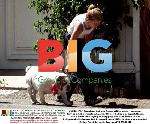 Reese Witherspoon Struggles with Bulldog