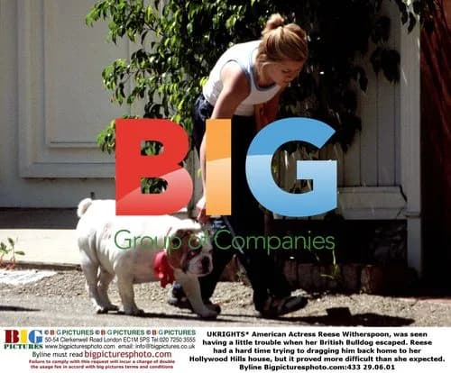 Reese Witherspoon Struggles with Bulldog
