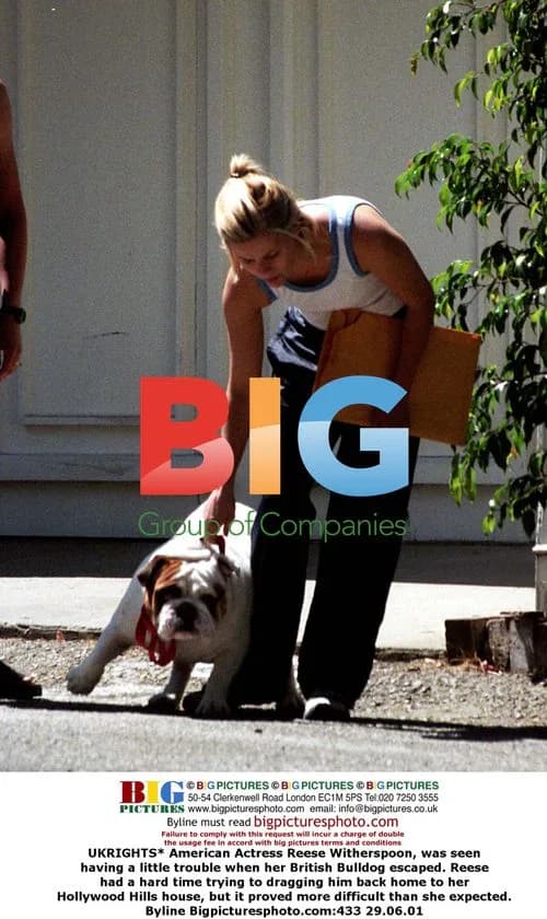 Reese Witherspoon Struggles to Catch Bulldog