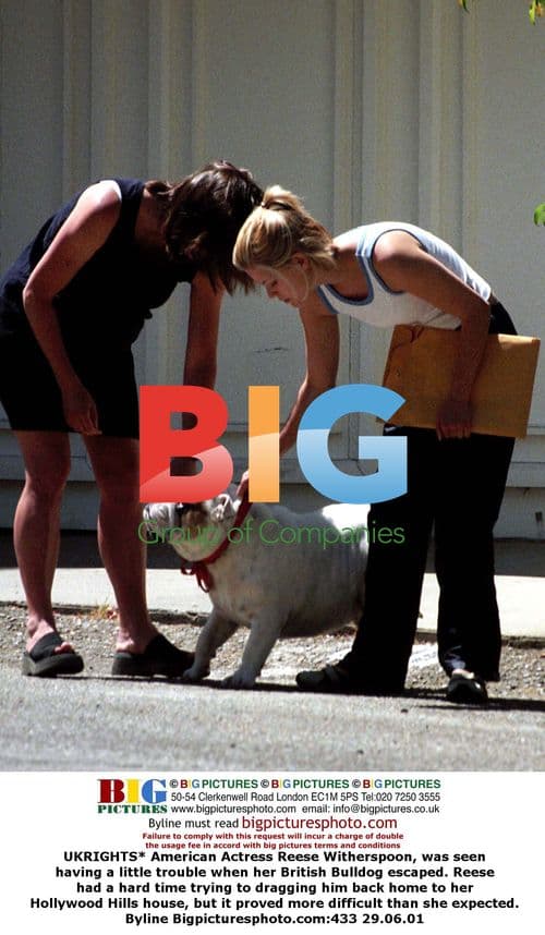Reese Witherspoon struggles with her British Bulldog