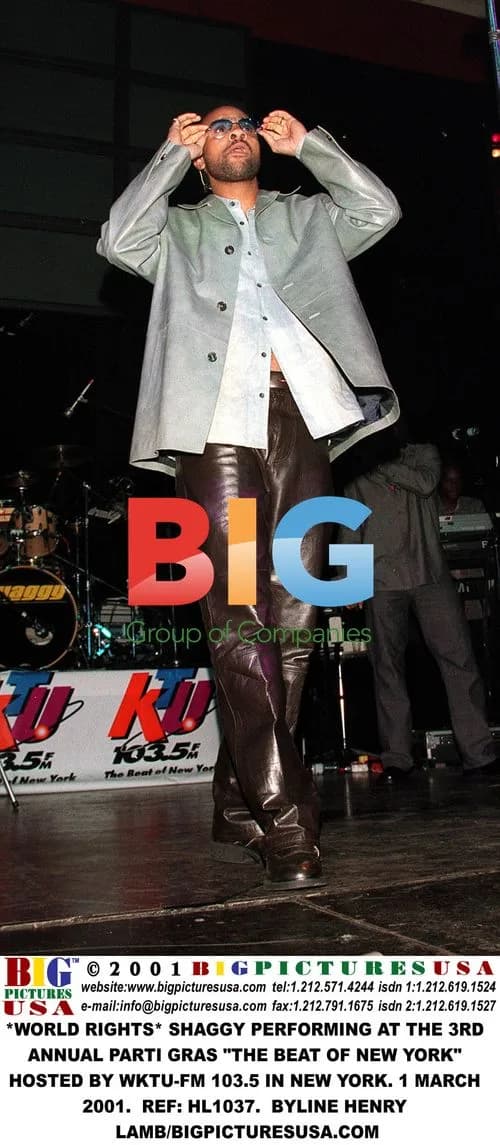 Shaggy Performing at Parti Gras