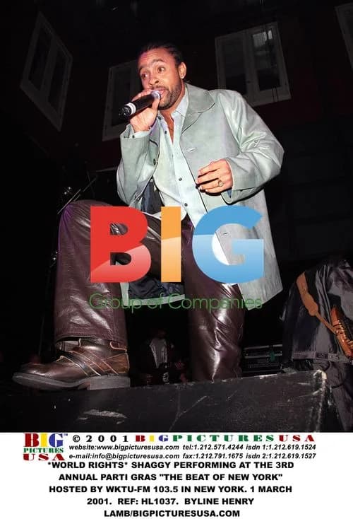 Shaggy performing at Parti Gras in NYC