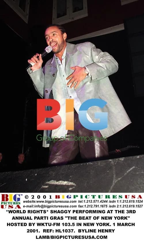 Shaggy Performing at Parti Gras in NYC